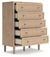 Cielden Full Panel Bed with Mirrored Dresser, Chest and Nightstand